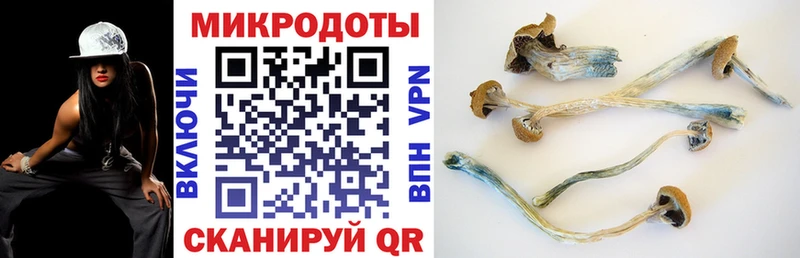 Галлюциногенные грибы мицелий  shop какой сайт  Лихославль 